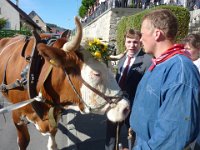 Hochzeit Lorenz und Bernie