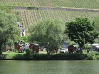 Ausflug an die Mosel`23