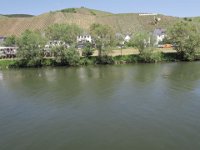 Ausflug an die Mosel`23