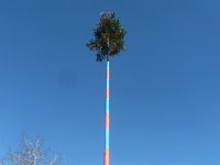 Narrenbaumstellen Riedern am Wald 27.01.2024