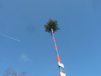 Narrenbaumstellen Hüri 15.02.2025