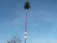 Narrenbaumstellen Hüri 15.02.2025