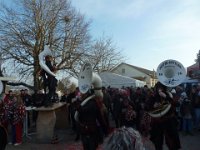 Narrenbaumstellen Hüri 15.02.2025