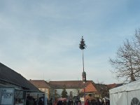 Narrenbaumstellen Hüri 15.02.2025