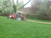 Maienstellen bei Mark und Gina 26.04.2025