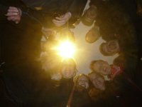 Schmutziger Dunnschdig 12.02.2026